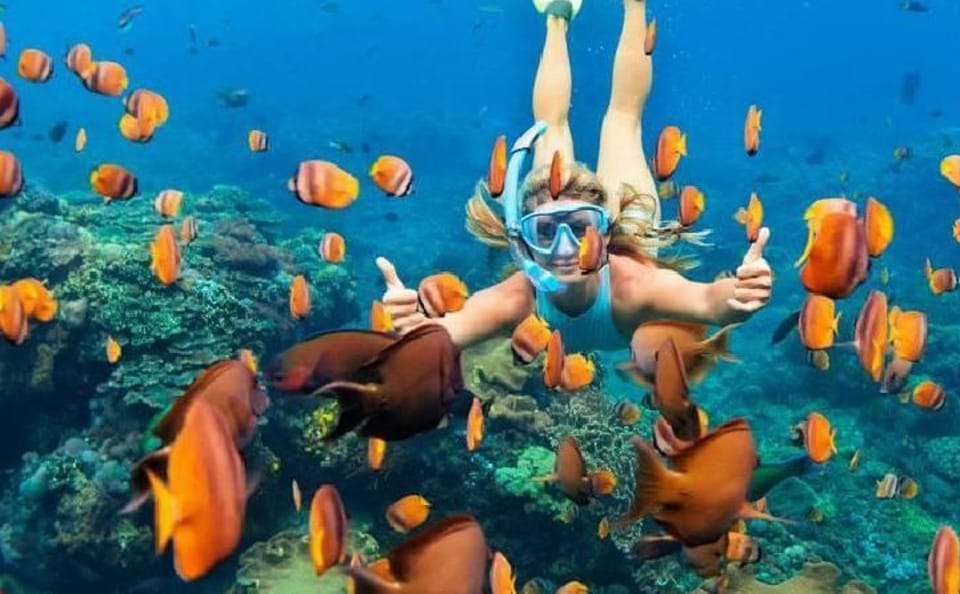 Snorkeling Adventure in Ras Mohammed National Park, Sharm El Sheikh