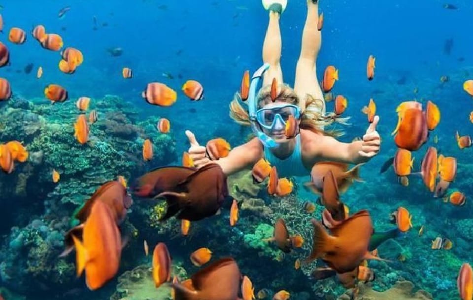Snorkeling Adventure in Ras Mohammed National Park, Sharm El Sheikh