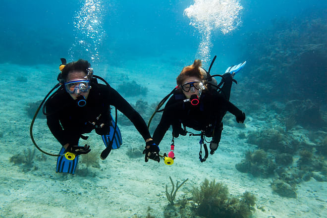 Discover scuba diving in paradise: Your first dive in Jandía Bay