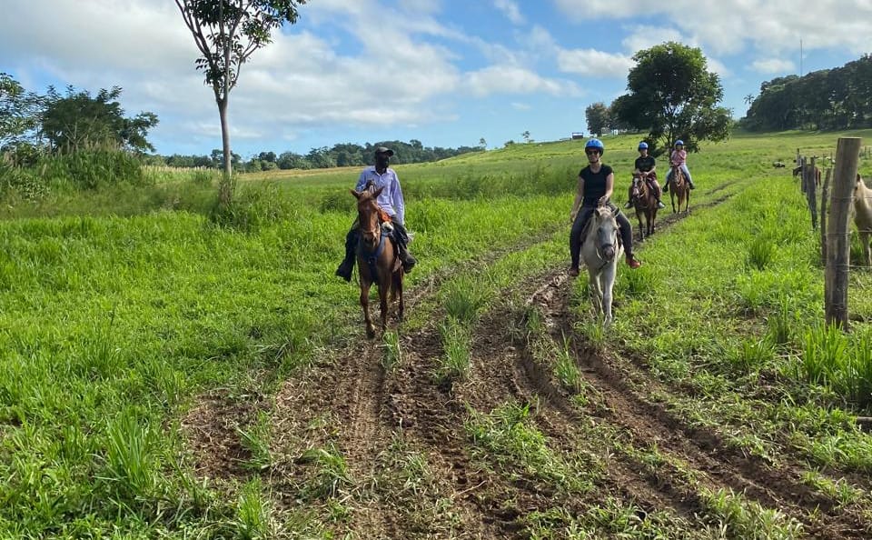 Horseback Riding Adventure in Placencia, Belize