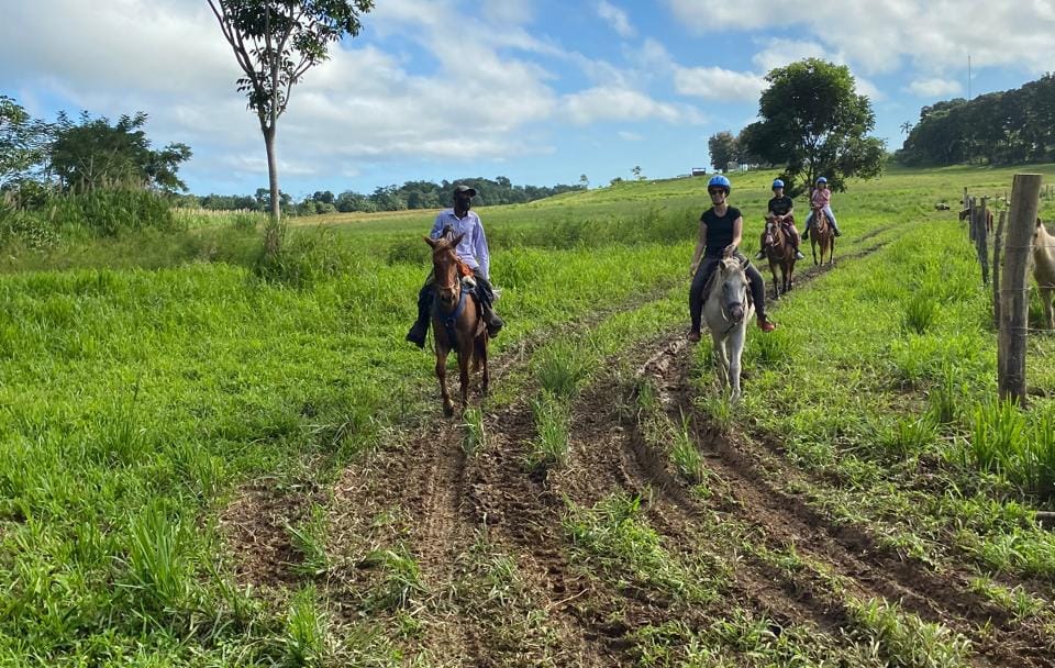Horseback Riding Adventure in Placencia, Belize