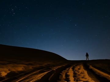 Night Desert Safari, Falcon Tours, Doha-Qatar