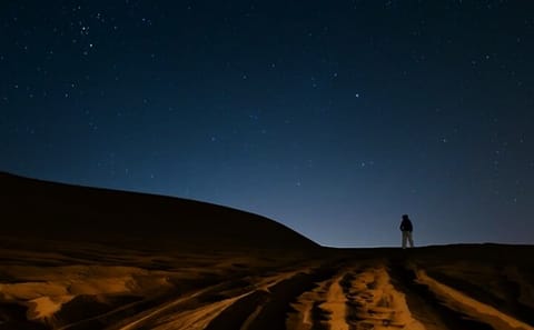 Doha Night Desert Safari with Camel Ride and Dune Bashing