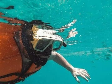 Snorkeling Adventure at Coral Reefs in Colombo, Sri Lanka