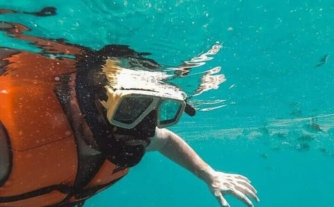Snorkeling Adventure at Coral Reefs in Colombo, Sri Lanka