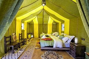 3 Day Sahara Desert Tour from Marrakech to Fes with Luxury Desert Camp