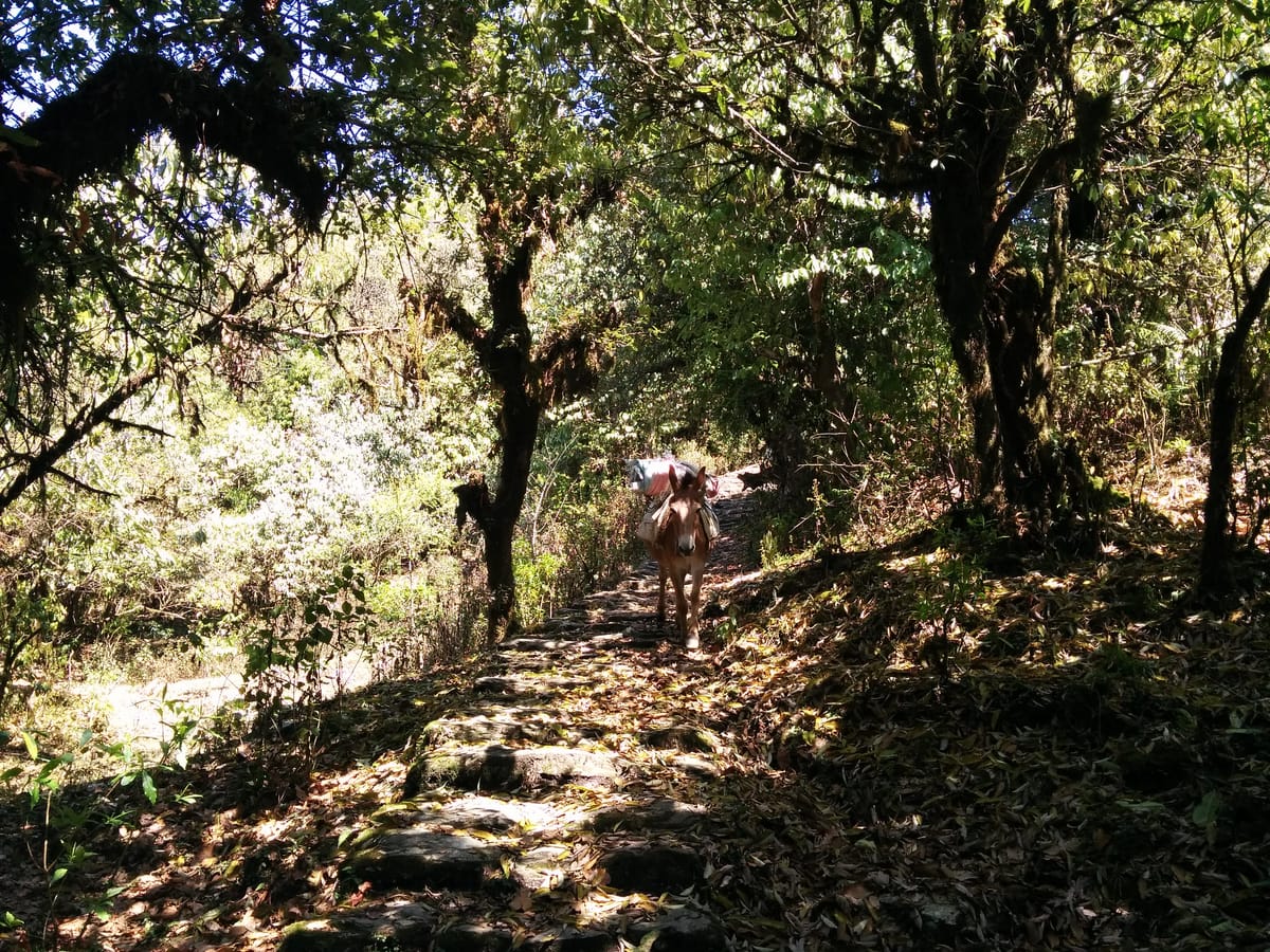 19 Days Mera Peak Climbing & Expedition – One Life-Changing Himalayan Adventure