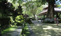 Private Half Day Tour to Ubud 9