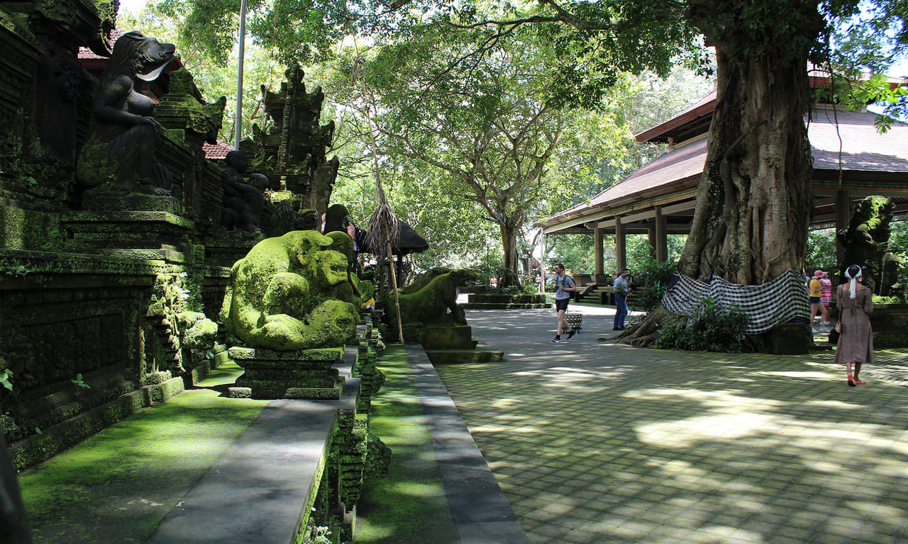Private Half Day Tour to Ubud 9