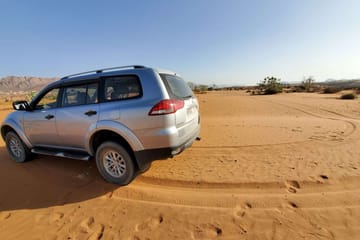 Guided Day Trip to Agadir's Mini Sahara and National Park