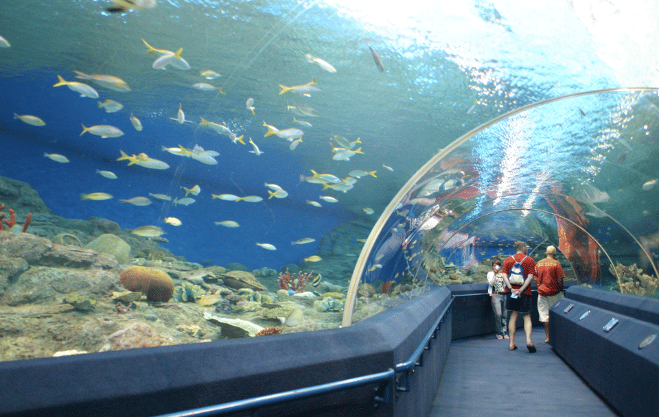 Underwater World Pattaya Ticket