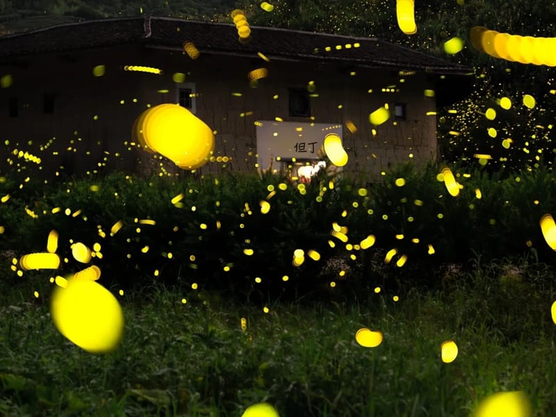 Xi'an: Yu River Nature & Firefly Discovery Private Day Trip