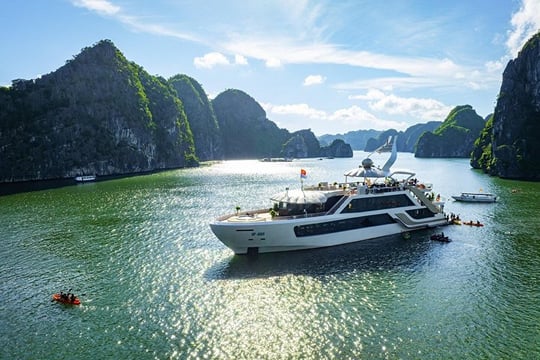 Hanoi to Lan Ha Bay: 5-Star Luxury Day Cruise with Gourmet Lunch