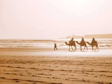 Private Day Trip to Essaouira from Marrakech with Transport