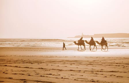 Private Full Day Trip to Essaouira from Marrakech