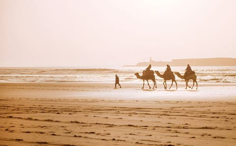 Private Day Trip to Essaouira from Marrakech with Transport