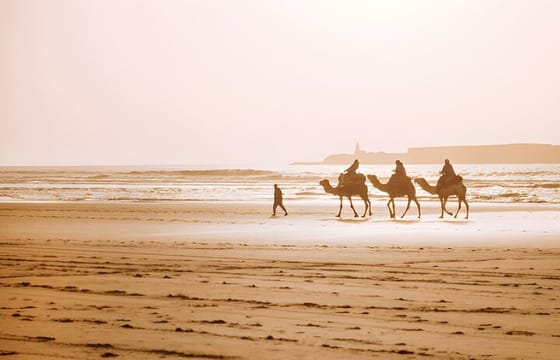 Private Full Day Trip to Essaouira from Marrakech