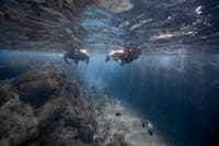 Private Los Cabos snorkeling tour to Chileno bay and Santa Maria cove 2
