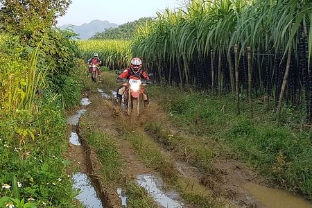 Adventure Motorbike Tour Through Vietnam's Stunning Mountain Trails