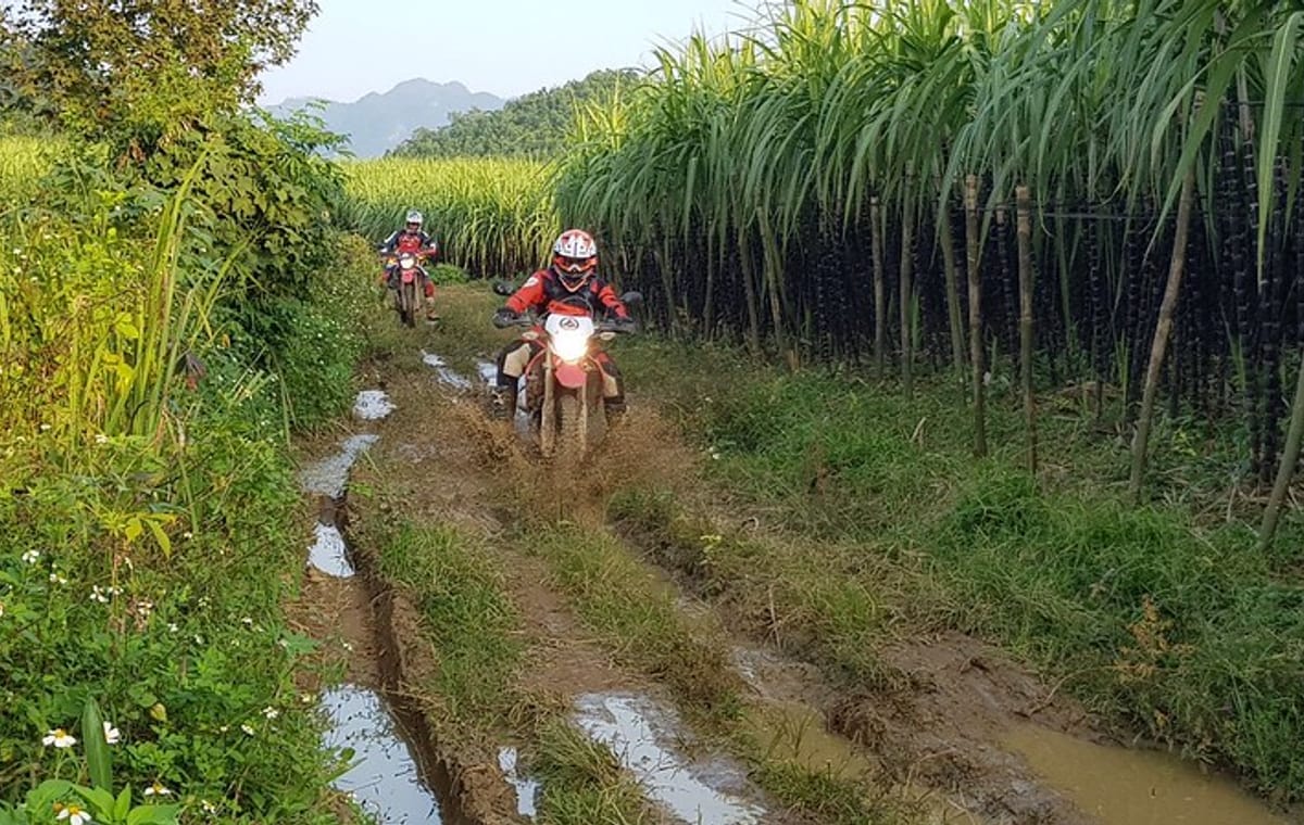 Vietnam’s Great Motorbike Trails 7 days 7 nights