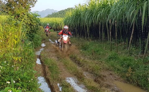Motorbike Adventure Tour Through Hà Giang, Vietnam - 7 Days