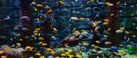 Antalya: Aquarium, Wax Museum & Combo Package Options 5