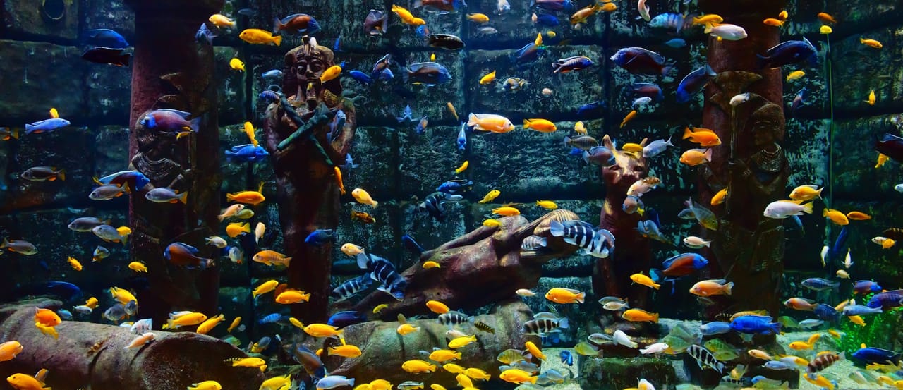 Antalya: Aquarium, Wax Museum & Combo Package Options 5