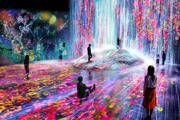 Explore TeamLab Phenomena: Immersive Art Experience in Abu Dhabi