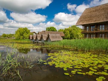 Danube Delta Full Day Trip from Bucharest