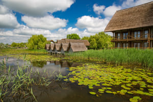 Danube Delta Full-Day Trip from Bucharest