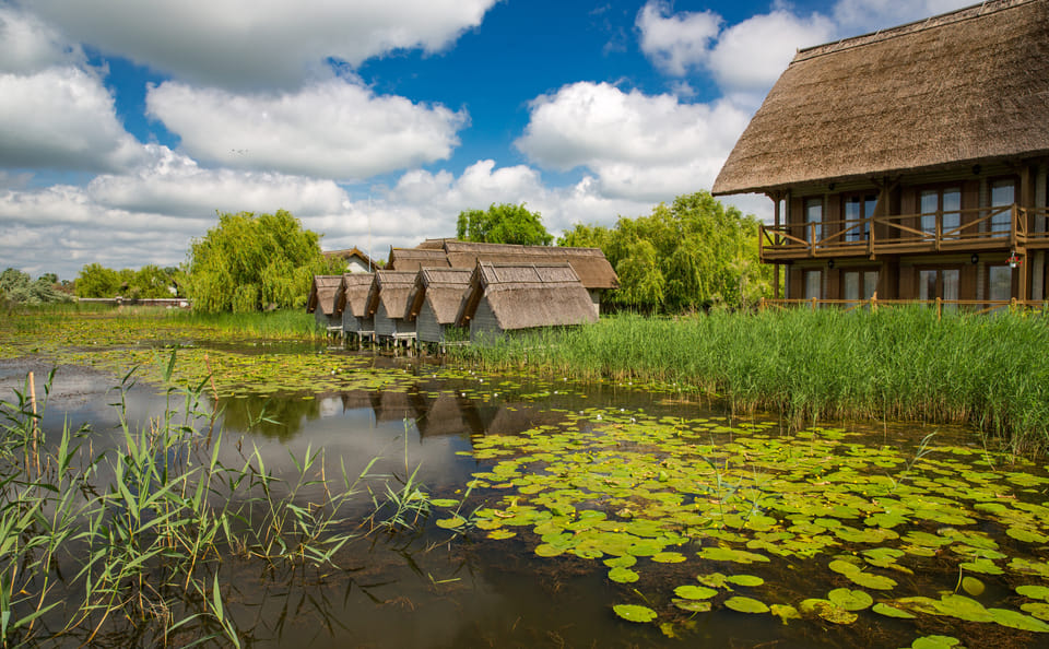 Danube Delta Full Day Trip from Bucharest