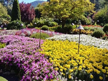 Butchart Garden