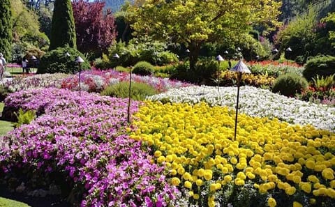 Three-Day Vancouver, Victoria and Whistler Tour