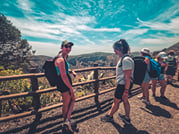 The Volcano Heart Tour + Local Products Tasting ツ 7