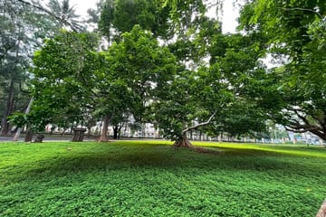Buon Ma Thuot Cultural and Coffee Heritage Tour