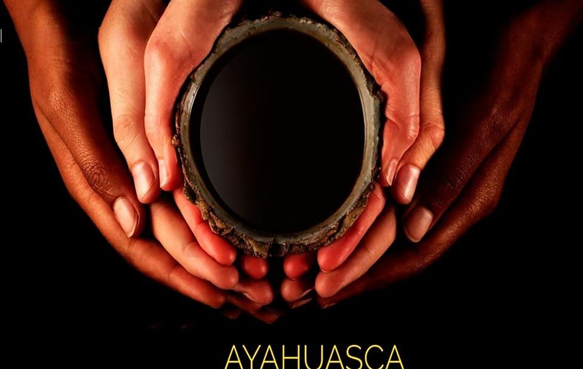 Cus-24 : Ayahuasca Discover – 1 Day of Self-Discovery