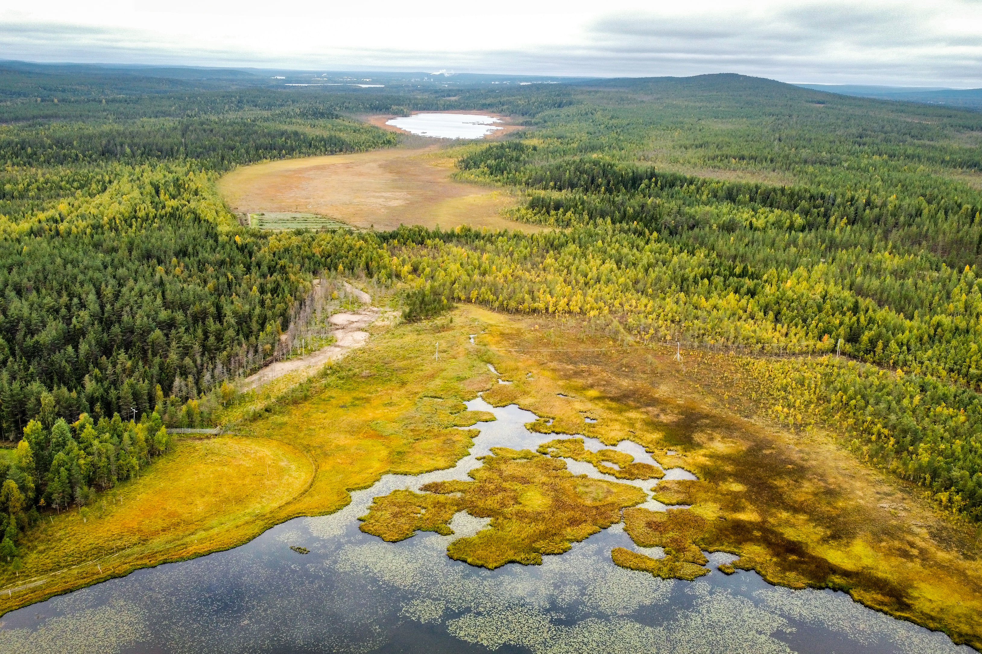 Beautiful colours of autumn in Rovaniemi