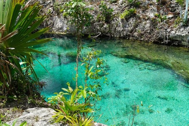 Coba, Tulum, Cenote Combo Tour  3