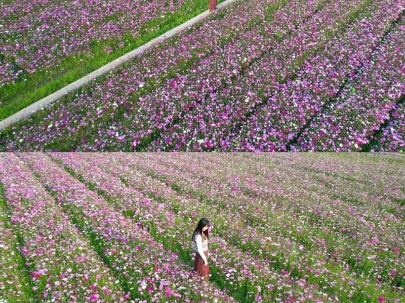 Shanghai: Danxia Cliffs, Tea Gardens & Canyon Day Trip