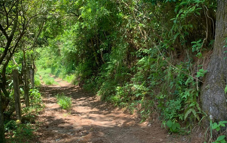 Full-Day Cycling Tour of Cat Ba Island and National Park