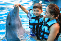 Encuentro con Delfines + Parque Acuático en Puerto Vallarta 1