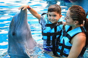 Dolphin Encounter and waterpark in Puerto Vallarta