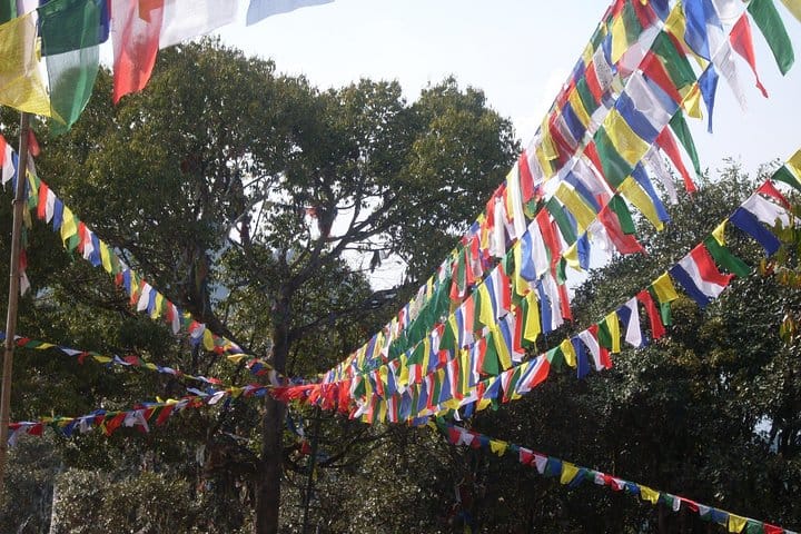 1 day Hike to Jamacho Monastery