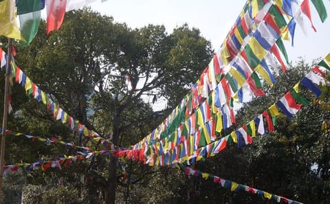 Hiking Tour to Jamacho Monastery in National Park