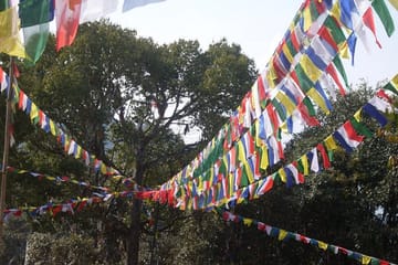 Hiking Tour to Jamacho Monastery in National Park
