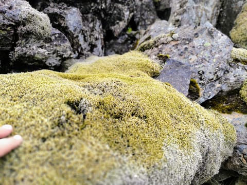 Landmannalaugar Rainbow Mountains 4x4 Tour - Valley of Tears, photo 5