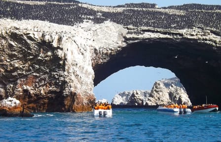 Islas Ballestas Boat Tour for Wildlife in Paracas, Peru