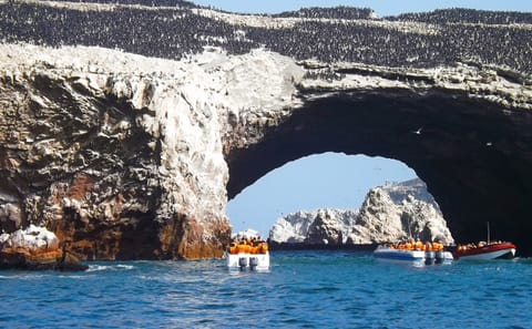 Islas Ballestas Boat Tour for Wildlife in Paracas, Peru