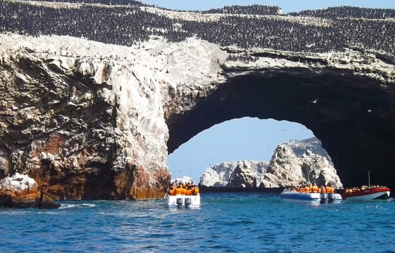 Par-01 : Islas Ballestas Boat Tour – The Galapagos of Peru