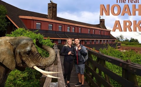 4-Day Safari Adventure in Ol Pejeta and Aberdare, Kenya